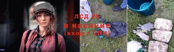 ALPHA PVP Елизово