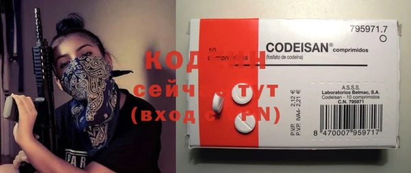 таблы Ельня