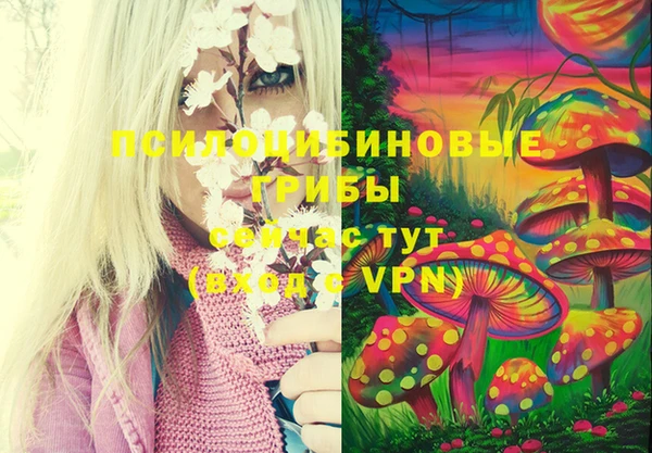 2c-b Елабуга